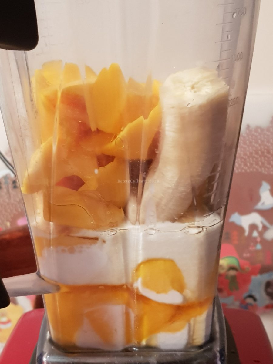 ingredientele din blender pentru inghetata de mango